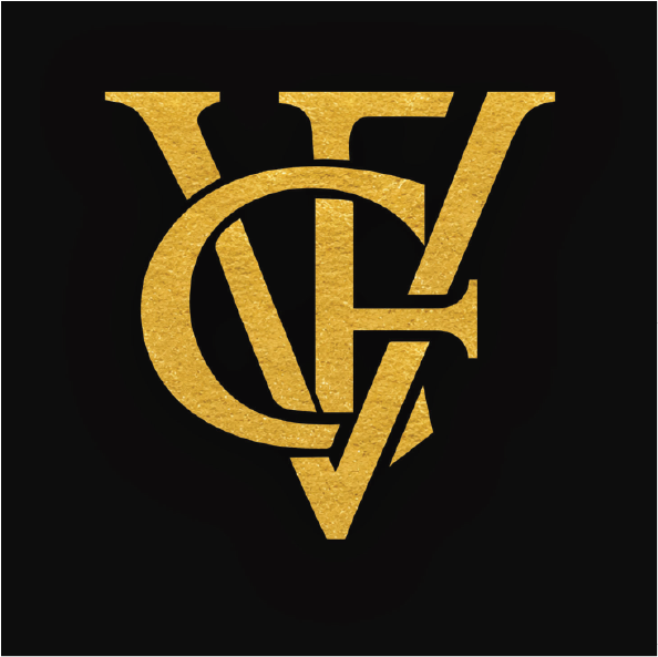 VFConsult-Bg